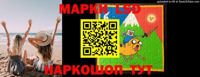 прущие грибы Шахты
