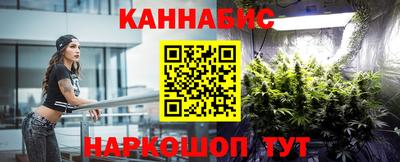 прущие грибы Шахты