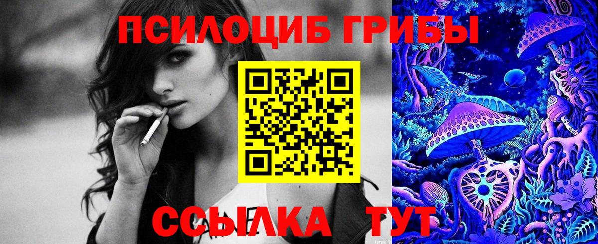 Галлюциногенные грибы Psilocybine cubensis Волгоград